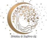 theme/logo